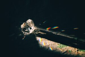 How Diamond Color Appears in Different Lighting: What to Expect in 2026
