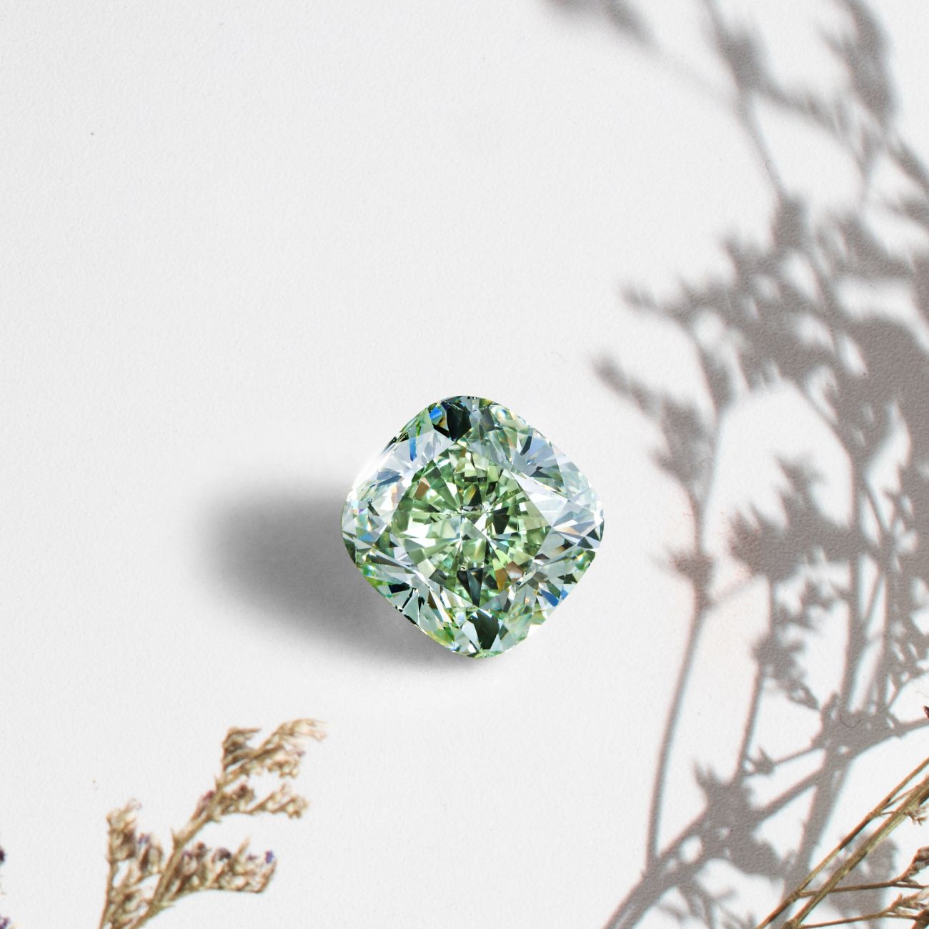 What Is a Cushion Cut Lab Grown Diamond? Guide to Shape, Sparkle & Value in 2026