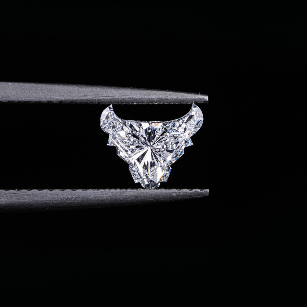 Which Diamond Shape Hides Inclusions Best? Top Shapes That Hide Flaws